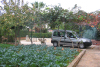 Private apartments Supetar, cheap apartments Brac